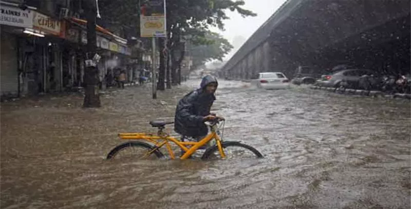 19 killed during thunderstorm in Rajasthan - Sakshi