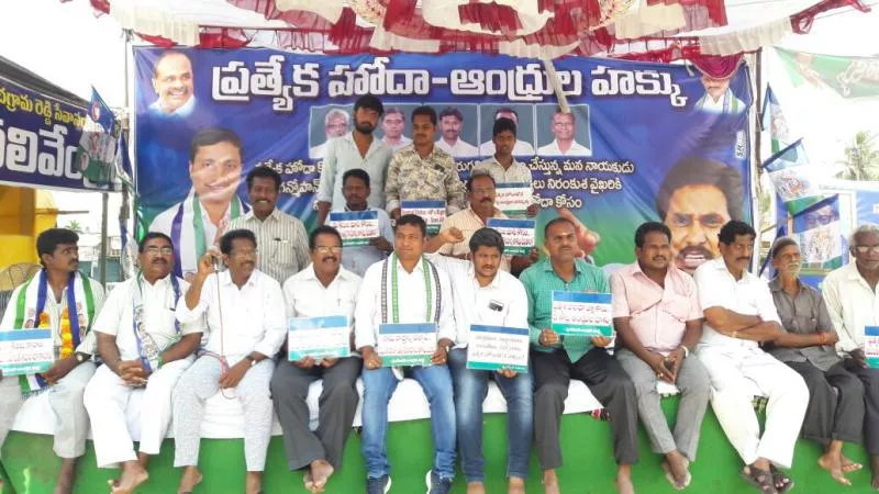 YSRCP Cadres Relay Hunger Strike For AP Special Status - Sakshi