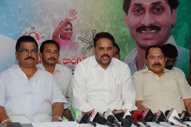 AP Bundh Is For Good Future Says Majji Srinivasa Rao YSRCP - Sakshi