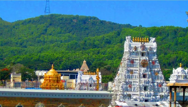 summer arrangements in tirumala over devotees rush - Sakshi