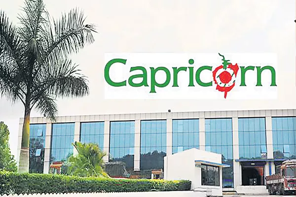 Capricorn Food gets SEBI nod to launch IPO - Sakshi