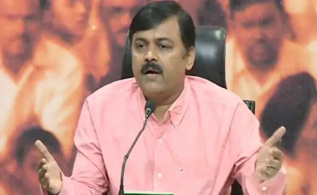 MP GVL Narasimha Rao Slams to Telugu States CMs - Sakshi