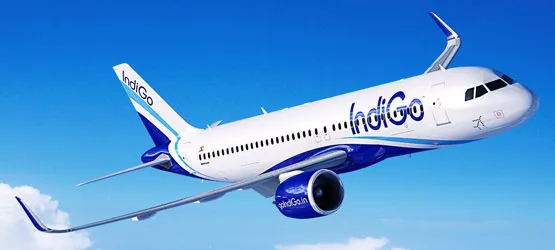 IndiGo Offers Rs 1500 Cashback On Bookings Via Citibank Cards - Sakshi