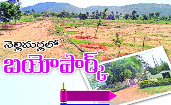 Bio Park In Nellimarla Soon - Sakshi