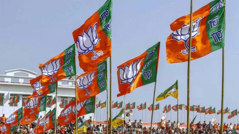 BJP Wins All Mayoral posts In Jharkhand - Sakshi