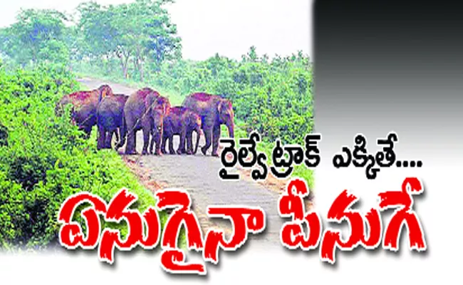 Elephants Are Killed In Rail Accidents - Sakshi