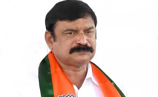 BJP MLA Vishnu Kumar Raju Slams To Balakrishna - Sakshi