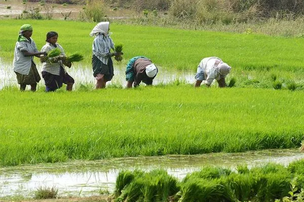 CM KCR tried to give Checks in a sameday to the 58 lakh farmers - Sakshi