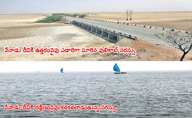 Pulicat Lake Development Delayed AP Government - Sakshi