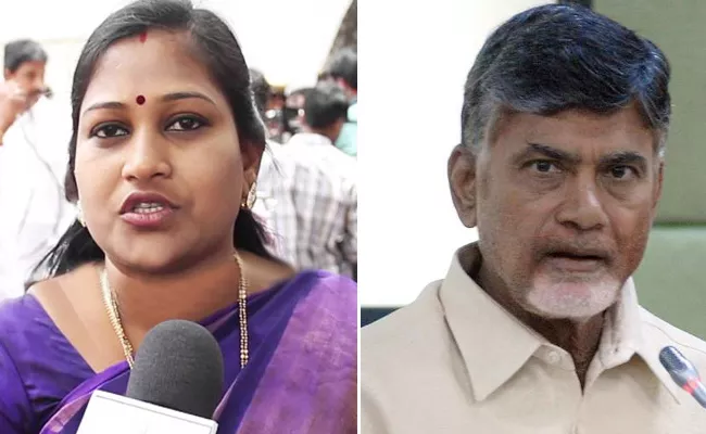 TDP MLA Vangalapudi Anitha Letter To Chandrababu Naidu - Sakshi