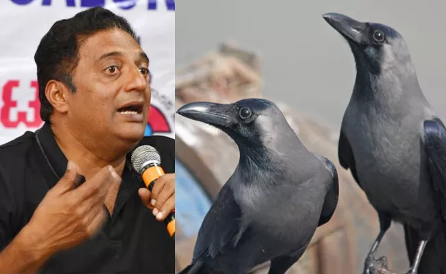 Prakash Raj Demands Crow as National Bird - Sakshi