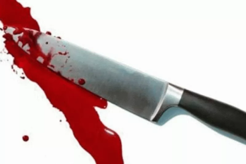 Delhi Man Stabs Father in law For Prevent Him To Meet His Wife - Sakshi