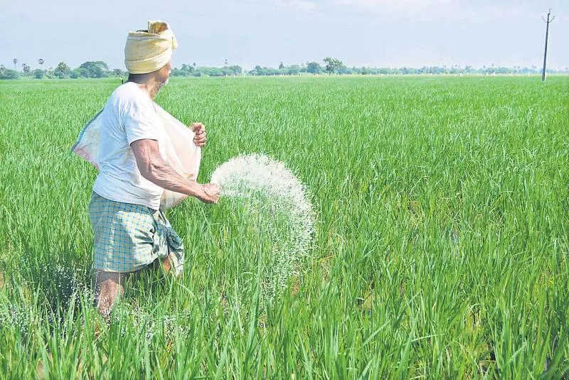 Sugar and fermented chemicals - Sakshi