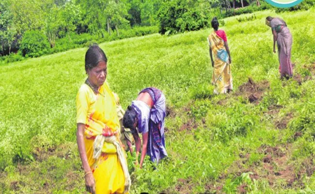 Telangana Govt Decided To Give Financial Aid For Podu Farmers - Sakshi