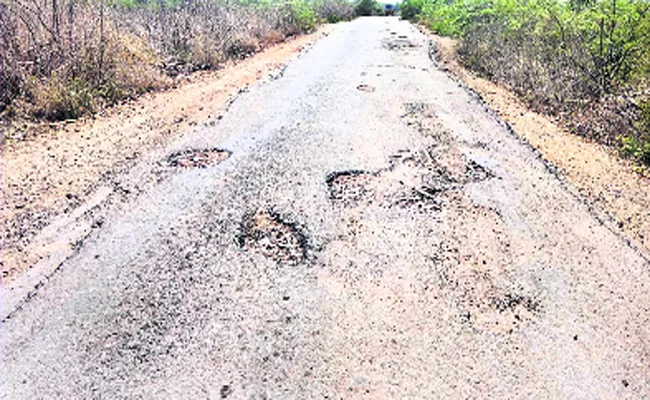 Villages Roads Is Not Good In Adilabad District Rebbena - Sakshi