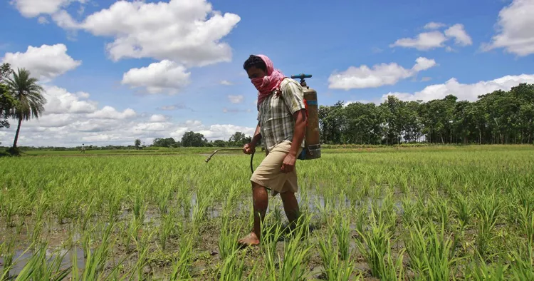 Pesticides Killing Farmers in India From Last Few Years - Sakshi