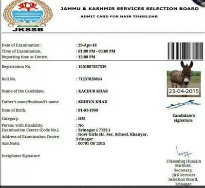 Jammu, Kashmir SSB Issued Admit Card To Donkey To Write Exam - Sakshi