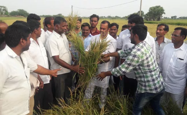 Komatireddy Venkat Reddy Demanded To Government Should Be ​​Helped For Farmers - Sakshi