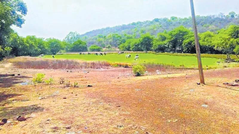 Controversial lands is 10 lakhs in telangana - Sakshi