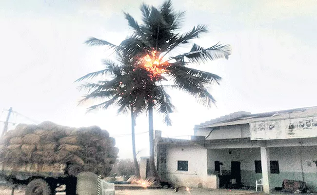 thunderbolt hitting coconut tree  - Sakshi