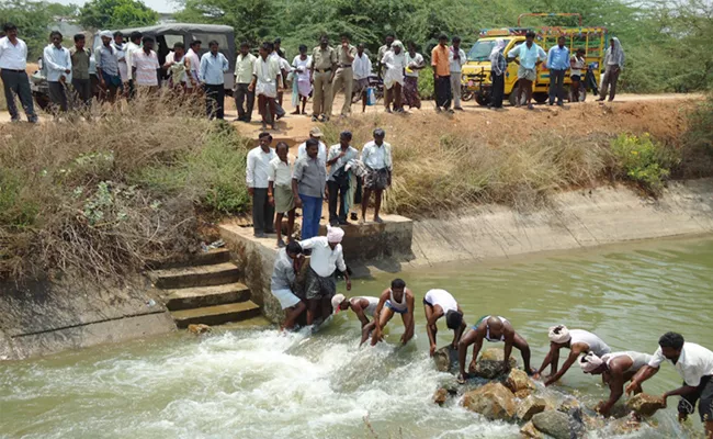 Crops Drying In Jurala Basin - Sakshi