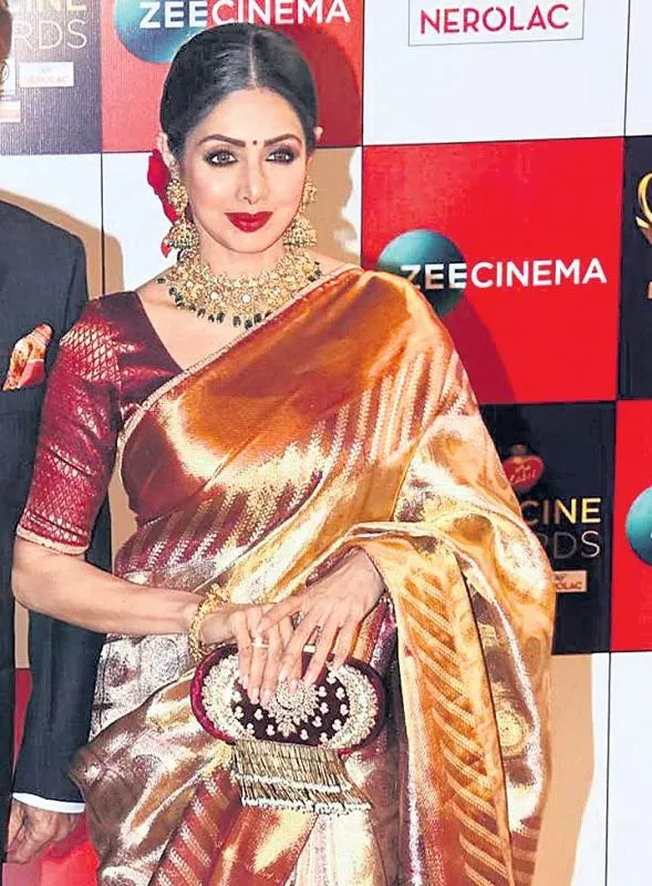 Producer Boney Kapoor reportedly registers '20 odd titles' for documentary on Sridevi's life - Sakshi