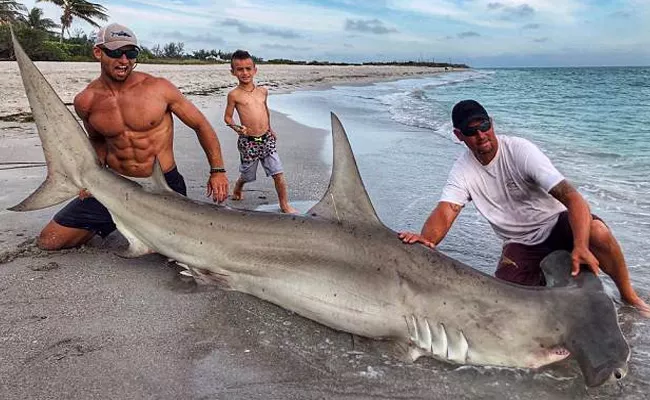 Shark Wrangler Holding A 12 Foot Hammerhead Goes Viral - Sakshi