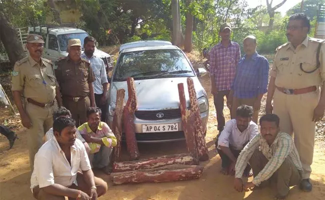 Smuggling In Seshachalam Forests - Sakshi