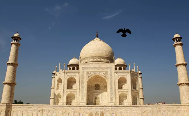 Supreme Court Admonished Archaeological Department Over Taj Mahal - Sakshi