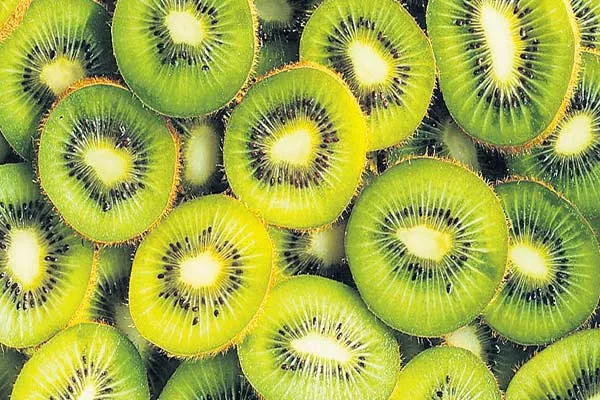 Kiwi fruit changed visa rules in New Zealand - Sakshi