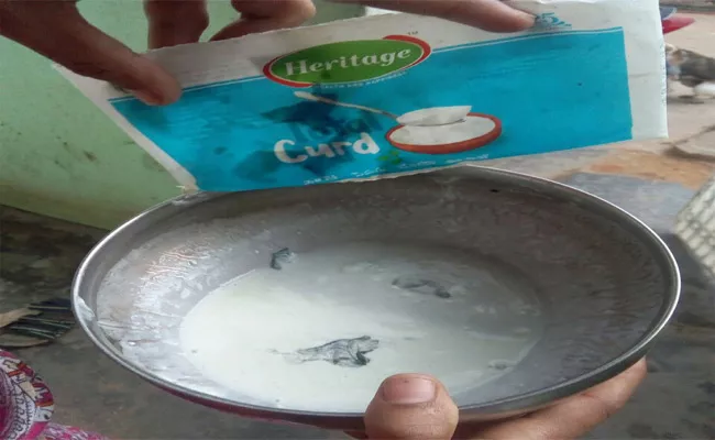 Heritage Curd Quality Error - Sakshi