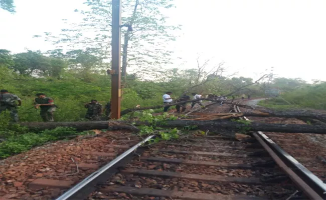 Trees on the railway track - Sakshi