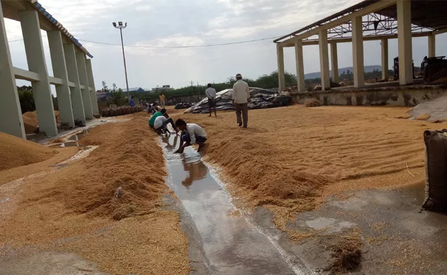 Unseasonal Rains Damaged Grain In Peddapalli - Sakshi