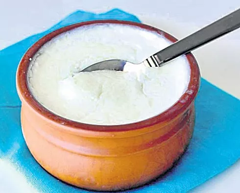 If you eat yogurt, swollen inflammation - Sakshi