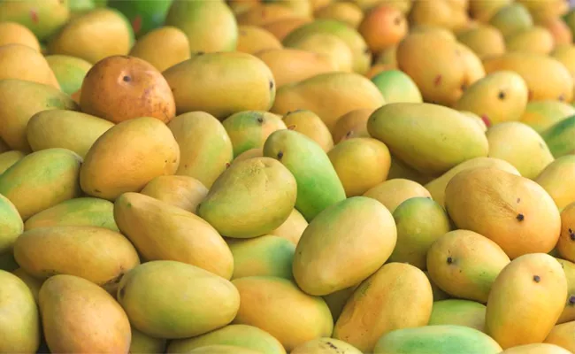 Carbaid Fruits In Kurnool Markets - Sakshi