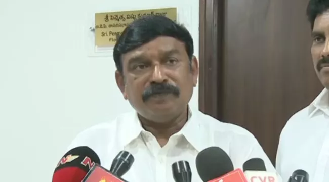 BJP MLA Vishnu Kumar Raju Fires On TDP And Congress - Sakshi