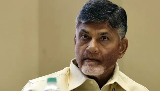 YSRCP Leader Comments On CM Chandrababu - Sakshi