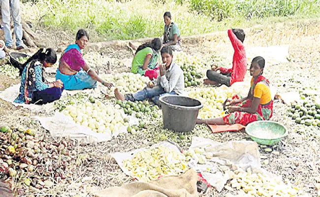 Dried Mangos business - Sakshi