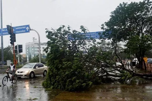 Wind And Rain Fall Throughout Nellore District - Sakshi