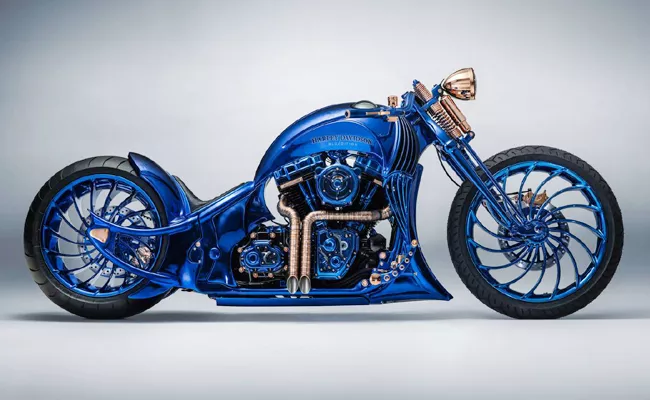 Worlds Costliest Bike By Harley Davidson For Bucherer - Sakshi