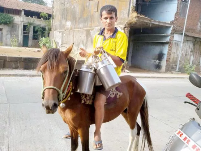 Maharashtra Milkman Sells Bike, Now Does Rounds On Horse - Sakshi