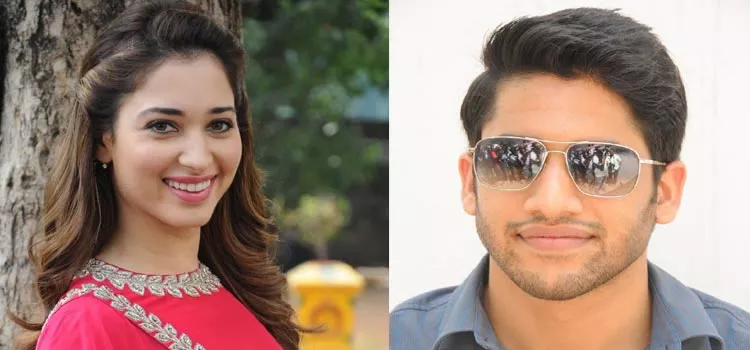 Tamannah Bhatia item song in Akkineni Naga Chaitanya Savyasachi - Sakshi