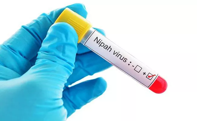 No Medicine For Dangerous Nipah Virus - Sakshi