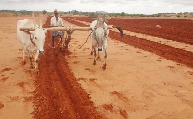 Pre planning On Khareef Crop Ananthapur - Sakshi