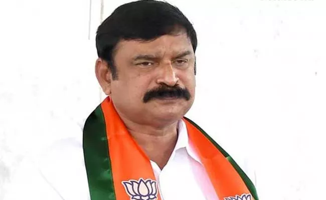 BJP MLA Vishnu Kumar Raju Criticize On TDP - Sakshi