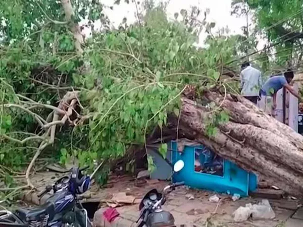 Rainstorm   Devastation In Kamareddy - Sakshi