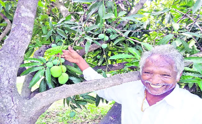 Chittoor Agriculture Specialist Siddareddy - Sakshi