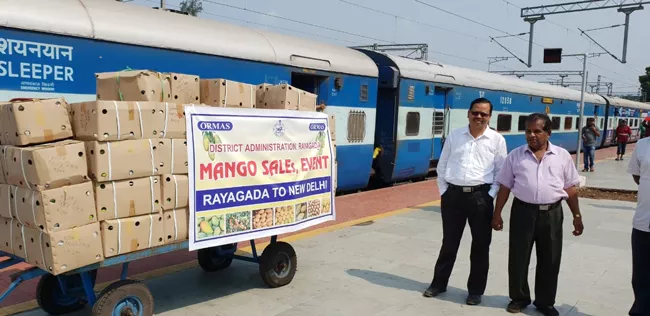 Mangoes Exportation From Rayagada To Delhi - Sakshi