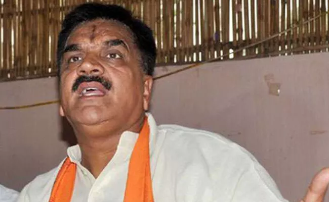 Why Muslims Come To Hindu Temples Says BJP MLA - Sakshi