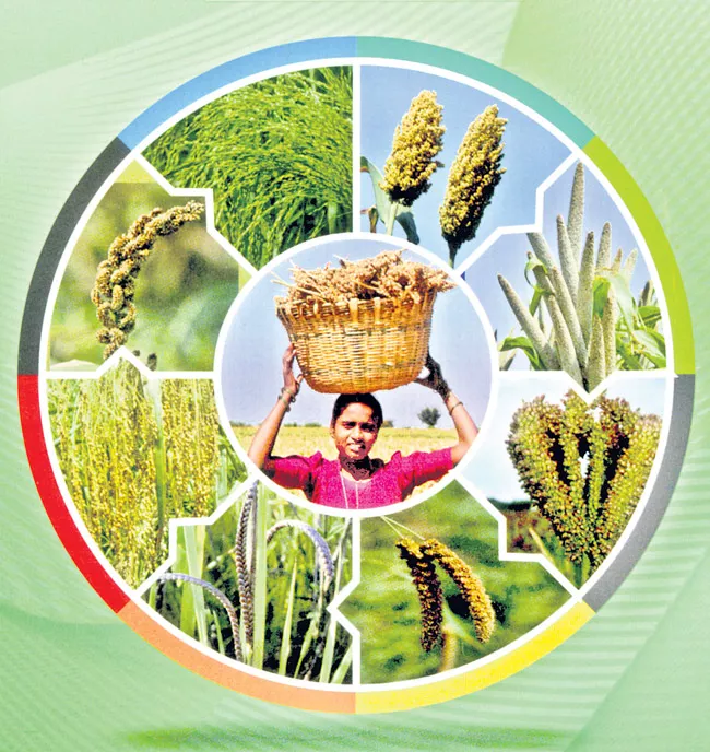  Government of India to launch a National Millet Mission - Sakshi